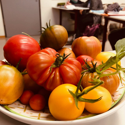 Kreisweiter Umwelttag 2021