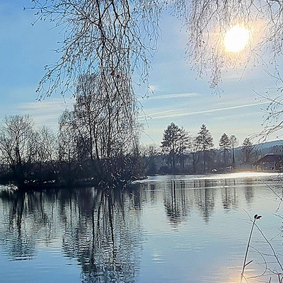 Fritzlarer Fischteiche