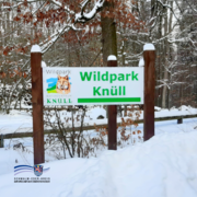 Auf dem Bild steht ein großes Schild mit der Aufschrift „Wildpark Knüll“ an einem verschneiten Waldrand. Das Schild ist an dunklen Holzpfosten befestigt und zeigt links ein Logo mit einem Luchs. Im Hintergrund sind Bäume und Sträucher mit Schnee bedeckt, im Vordergrund liegt eine hohe Schneedecke. Unten links ist das Logo des Schwalm-Eder-Kreises zu sehen.