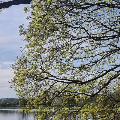 Frühlingserwachen Fischteiche in Fritzlar