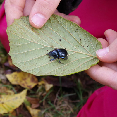 Kreisweiter Umwelttag 2021