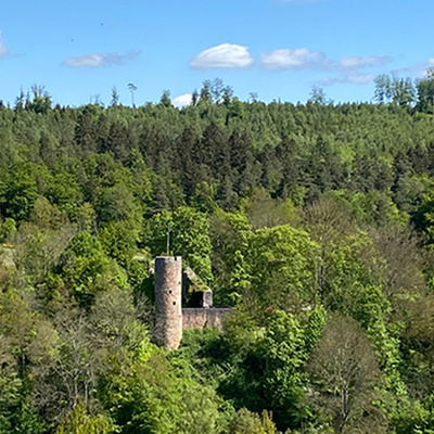 Burgruine Wallenstein