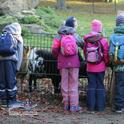 Das Bild zeigt vier Kinder mit Rucksäcken und wetterfester Kleidung, die an einem Zaun stehen und in ein Tiergehege schauen. Auf der anderen Seite des Zauns befinden sich Ziegen. Der Boden ist mit Herbstlaub bedeckt, im Hintergrund sind Wiesen, Bäume und große Steine zu sehen. Unten links ist das Logo des Schwalm-Eder-Kreises eingeblendet.