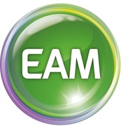 RZ EAM Logo 3D
