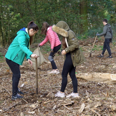 Kreisweiter Umwelttag 2019