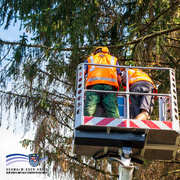 Zwei Arbeiter in orangefarbenen Warnwesten stehen in einem Hubsteigerkorb und führen Baumschnittarbeiten an einer hohen Tanne aus. Sie sind von hinten zu sehen, tragen Schutzkleidung und arbeiten zwischen den Ästen. Unten links ist das Logo des Schwalm-Eder-Kreises mit dem Schriftzug „Der Kreis mit den schönsten Ecken“ eingeblendet.