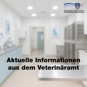 Unscharfes Foto eines Labors mit hellen Wänden, OP-Tisch und Käfigen im Hintergrund. In schwarzer Schrift steht zentral: „Aktuelle Informationen aus dem Veterinäramt“. Oben rechts befindet sich das Logo des Schwalm-Eder-Kreises mit dem Schriftzug „Der Kreis mit den schönsten Ecken“.